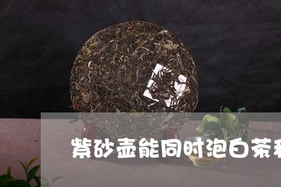 紫砂壶能同时泡白茶和绿茶/2023111055148