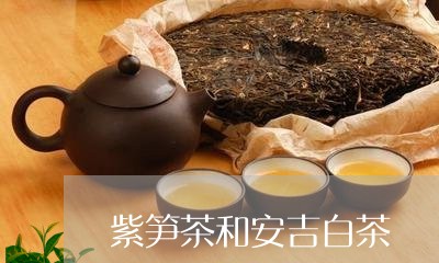 紫笋茶和安吉白茶/2023070864059