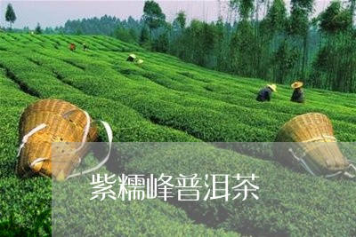 紫糯峰普洱茶/2023121812028