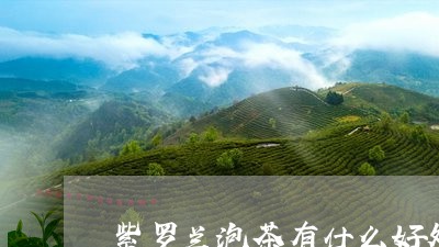 紫罗兰泡茶有什么好处/2023071536057