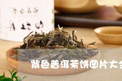 紫色普洱茶饼图片大全高清/2023110884716