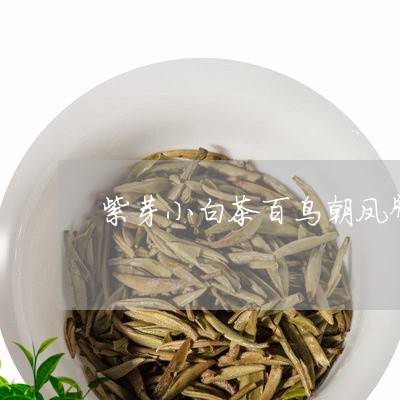 紫芽小白茶百鸟朝凤牌普洱茶/2023052738264