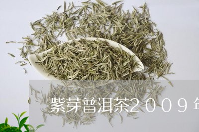 紫芽普洱茶2009年/2023080272736