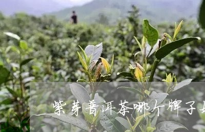 紫芽普洱茶哪个牌子好/2023062223016