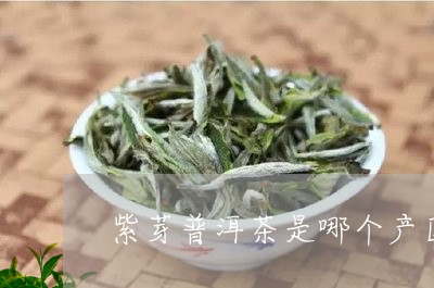 紫芽普洱茶是哪个产区产的/2023121842582