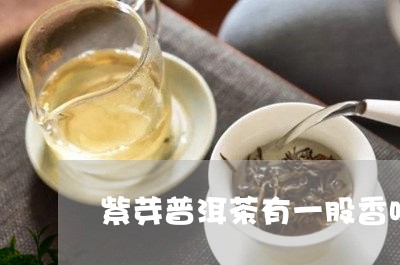 紫芽普洱茶有一股香味/2023092600805