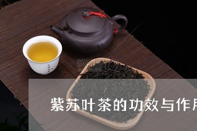 紫苏叶茶的功效与作用/2023071506257