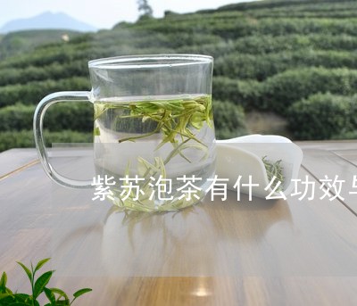 紫苏泡茶有什么功效与作用/2023051169594