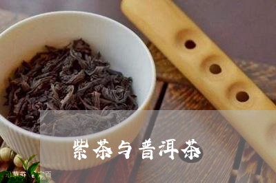 紫茶与普洱茶/2023042892359