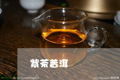 紫茶普洱/2023121869602