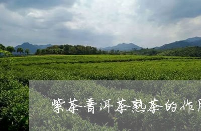 紫茶普洱茶熟茶的作用/2023062841624