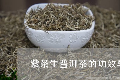 紫茶生普洱茶的功效与作用/2023121817371