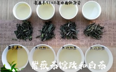 紫薇茶馆政和白茶/2023090796147