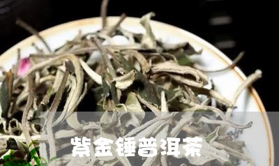 紫金锤普洱茶/2023042759091