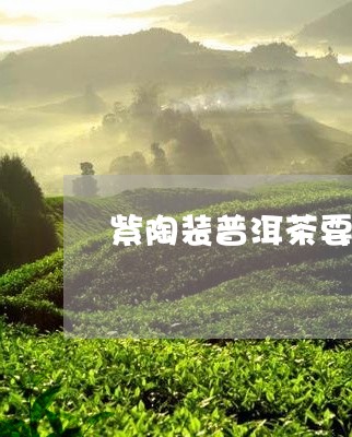 紫陶装普洱茶要密封吗/2023062086250