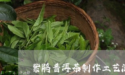 紫鹃普洱茶制作工艺流程/2023121862704