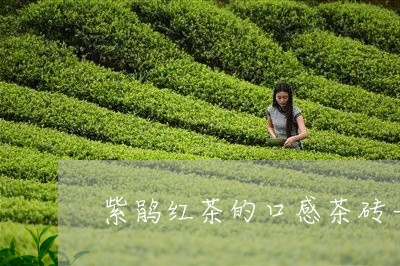 紫鹃红茶的口感茶砖一般都是什么茶/2023060401573