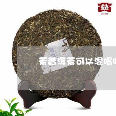 緑茶普洱茶可以混喝吗/2023073098593