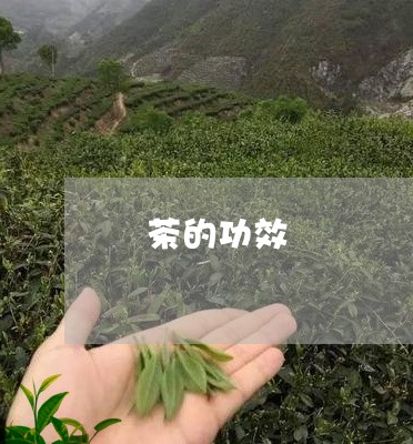 縢茶的功效/2023090235048