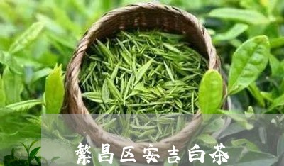 繁昌区安吉白茶/2023060957491