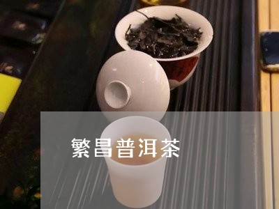 繁昌普洱茶/2023090520583