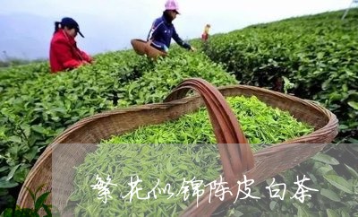 繁花似锦陈皮白茶/2023111699373