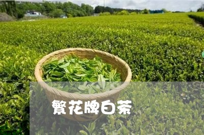 繁花牌白茶/2023051112692