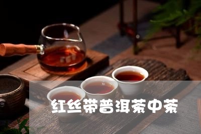 红丝带普洱茶中茶/2023120407378