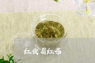 红俊眉红茶/2023110959492