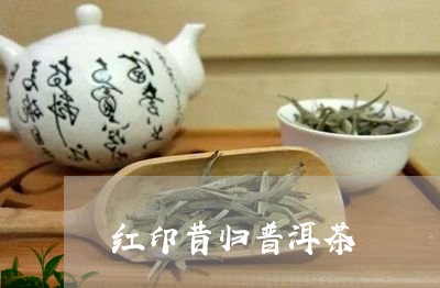 红印昔归普洱茶/2023081823826