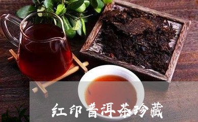 红印普洱茶珍藏/2023121864351