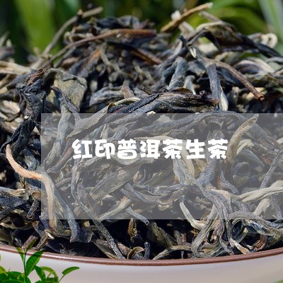 红印普洱茶生茶/2023112616079