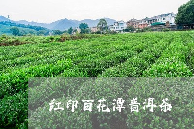 红印百花潭普洱茶/2023110994937