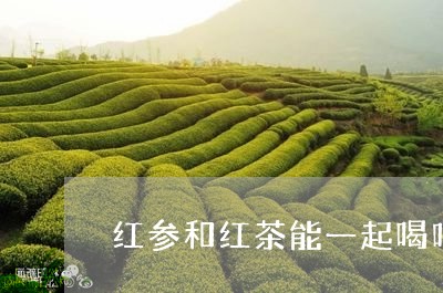 红参和红茶能一起喝吗/2023060868491