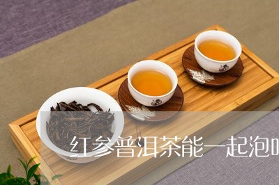 红参普洱茶能一起泡吗/2023092576251