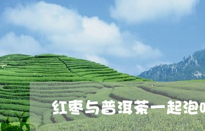 红枣与普洱茶一起泡吗/2023092552814