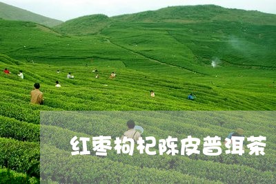 红枣枸杞陈皮普洱茶/2023091315259