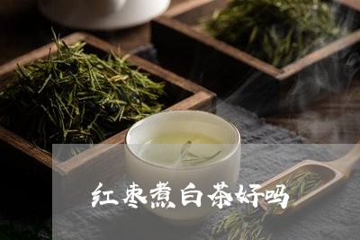 红枣煮白茶好吗/2023060802725