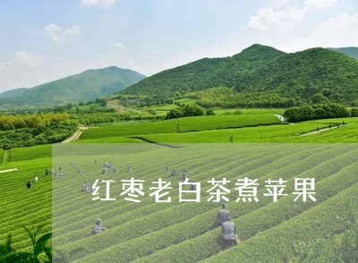 红枣老白茶煮苹果/2023070716158