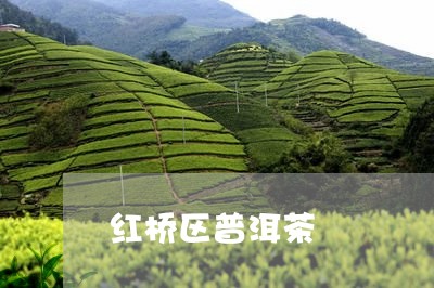 红桥区普洱茶/2023042743120