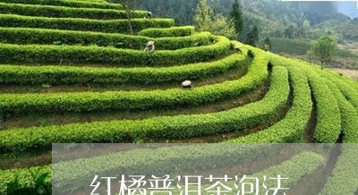 红橘普洱茶泡法/2023101667158