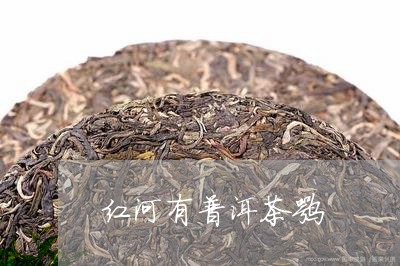 红河有普洱茶嘛/2023081685935