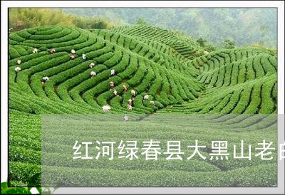 红河绿春县大黑山老白茶村/2023111031749