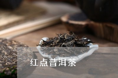 红点普洱茶/2023102550391