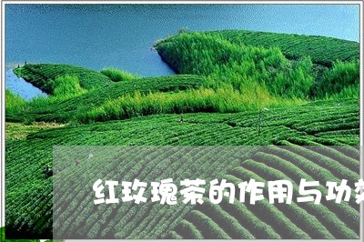 红玫瑰茶的作用与功效/2023071548714