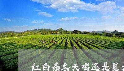 红白茶冬天喝还是夏天喝好/2023042728472