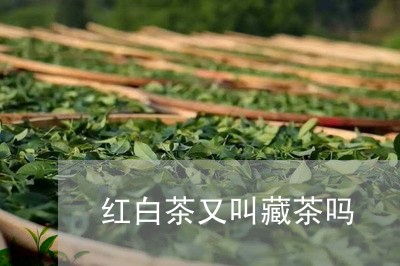 红白茶又叫藏茶吗/2023070715937