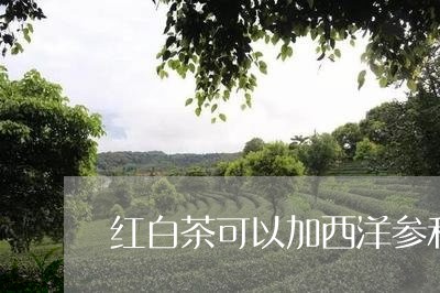 红白茶可以加西洋参和苟极/2023110960383