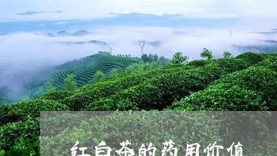 红白茶的药用价值/2023071320493