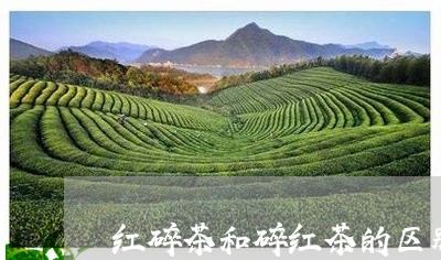 红碎茶和碎红茶的区别/2023071576147